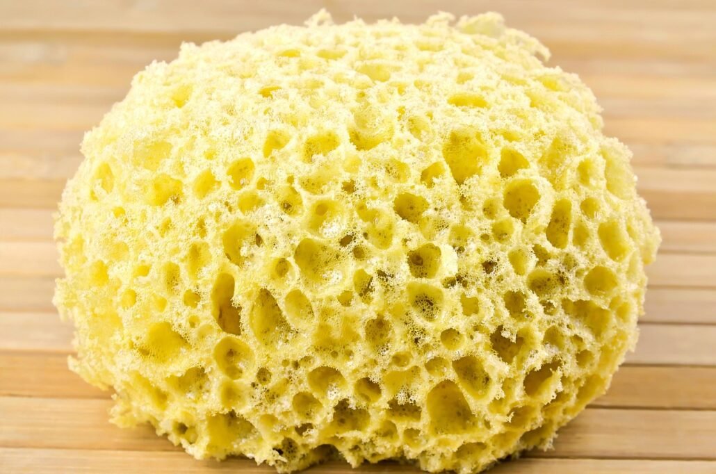 coarse salt on wet sponge for bathroom cleaning