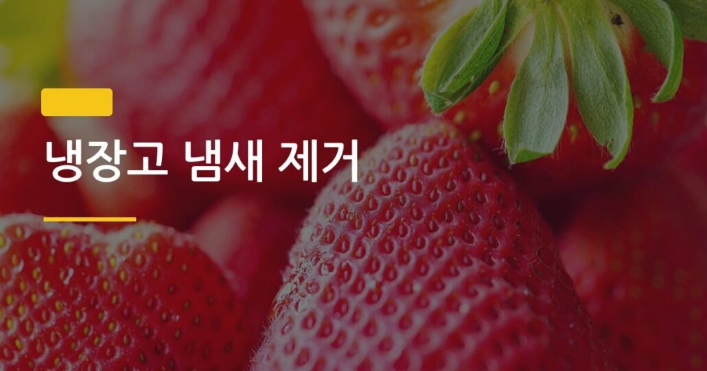 냉장고 냄새 제거, 베이킹소다·숯·커피찌꺼기 중 진짜 효과 있는 건 뭘까