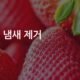 냉장고 냄새 제거, 베이킹소다·숯·커피찌꺼기 중 진짜 효과 있는 건 뭘까