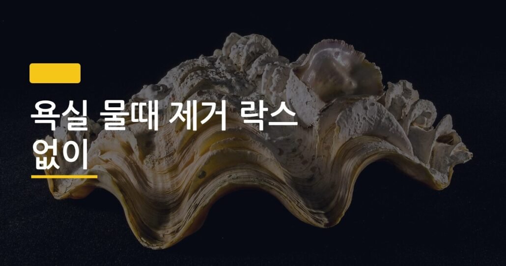 욕실 물때 제거 락스 없이, 집에 있는 재료로 진짜 되는 5가지 방법