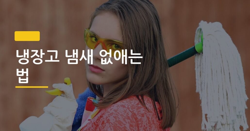 냉장고 냄새 없애는 법, 베이킹소다 vs 숯 뭐가 진짜 효과 있을까
