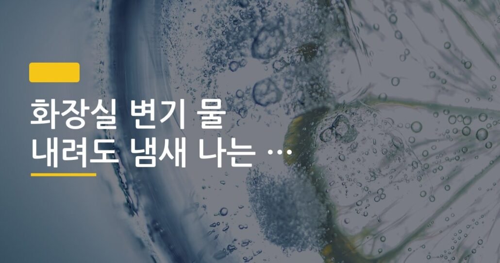 화장실 변기 물 내려도 냄새 나는 이유와 해결책