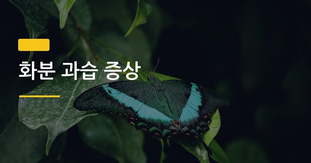 화분 과습 증상, 물 너무 줬을 때 흙 빠르게 살리는 4가지 방법